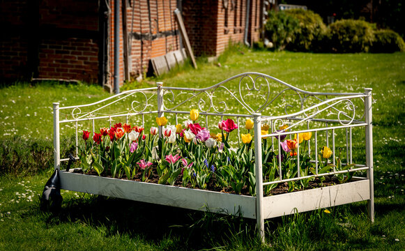 old bed in the garden with flowers