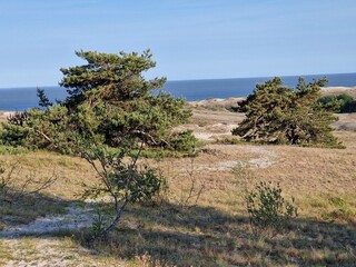 An der kurischen Nehrung in Polen