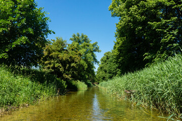 Vacation activity background. Kayaking on a river. Jungle landscape. River in forest. Canoe view. National Park. Vivid green color nature.