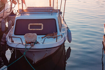 Photograph of a fishing boat waiting moored in the harbor or on the shore.