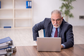 Old male boss employee working in the office