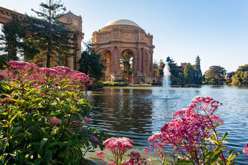 Sunny exterior view of the Palace of Fine Arts - Powered by Adobe