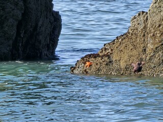 Water Coastal and oceanic landforms Watercourse Terrain Lake Natural landscape