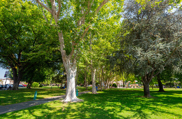 Sunny view of the garden of Sonoma Plaza History