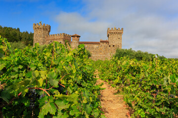 Sunny exterior view of the Castello di Amorosa winery