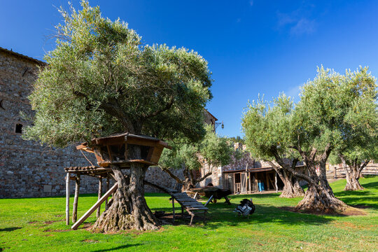 Sunny Exterior View Of The Castello Di Amorosa Winery