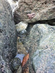 Playa Grandi Bedrock Water Wood Formation Landscape