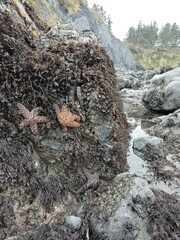 Bedrock Sky Mountain Tree Formation Water