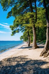 Fototapeta na wymiar Incredible Beautiful Baltic sea white sand beach. Generative AI