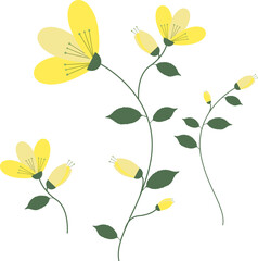Yellow flowers with green stem and leaves, set