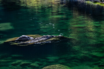 green water and rocks beneath