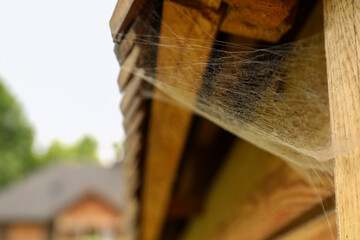 Cobweb on wooden building outdoors, closeup. Space for text