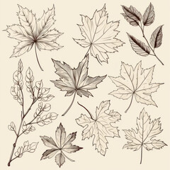 Leaves, twigs, and flowers line art 