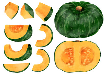 カボチャのイラスト　手描き　水彩風
