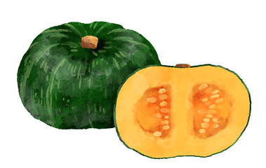 カボチャのイラスト　手描き　水彩風