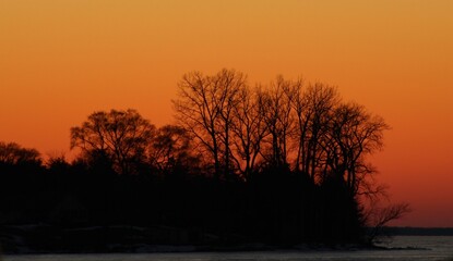 Obraz premium sunset in the forest