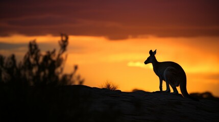 Kangaroo Silhouette Against a Dramatic Sunset, Ideal Background for Wildlife-themed Designs and Striking Imagery. Generative AI