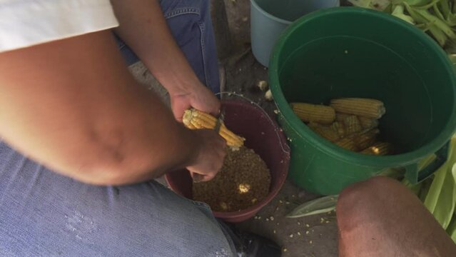 A man shells an ear of corn to prepare corn arepas