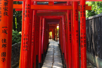 Fototapeta na wymiar japanese temple entrance