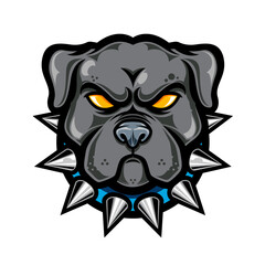 Pitbull head mascot vector