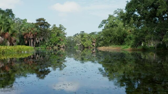 Bayou swamp surrounded by old oak trees in City Park, New Orleans