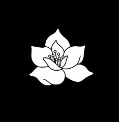 jasmine flower icon design, flower logo template. line art style