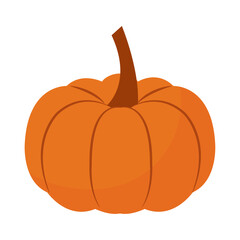 Isolated colored autumn pumpkin icon Vector
