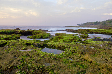 Sawarna beach,west Java,Indonesia, beautiful beach with coral reefs dotted with greenery 