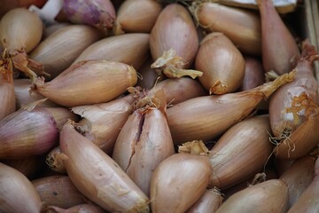 onions,shallots,vegetable,food
