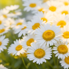 A vibrant bouquet of majestic daisies backgrounds