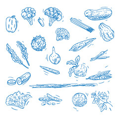 Vegetables Hand Drawn Vector Element 1