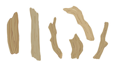 Set of driftwood illustration.  Tree branches, wood sticks. Hand drawn vector.