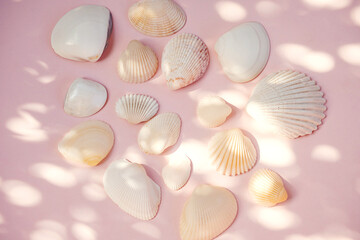 Seashells summery layout. Beach memories concept.