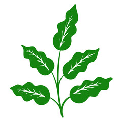 set of green leaves