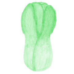 chinese cabbage