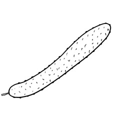 cucumber
