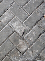 old gray paving stones texture.