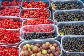 Different kinds of red and blue berries for sale at a market