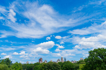 city nature landscape with skyscraper. central park of new york. Central Park summer and building in midtown Manhattan New York City. USA, New York City wtih Skyscraper around Central Park