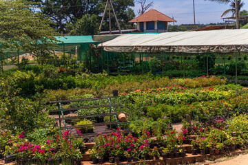 Outdoor flower pot shop in Karnataka india