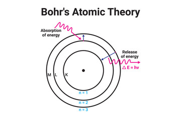 Bohr's Atomic Theory. Bohr's atomic model shows orbits. Bohr presented his atomic model based on Quantum theory. Bohr's Atomic Theory diagram vector with a white background.