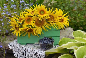 Beautiful still life with sunflowers in wooden box and honey berry in the garden. Romantic greeting card for birthday, Valentines, Mothers Day concept. 