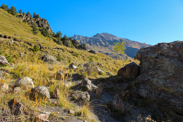 Sunny November at the foot of Elbrus on the banks of the Baksan River, Russia
