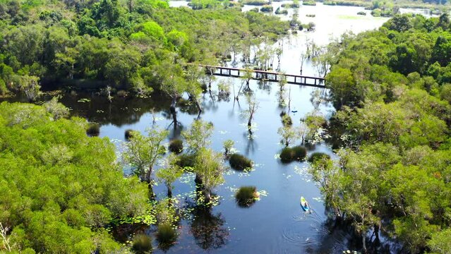 4K Aerial view of Caucasian man kayaking along mangrove forest in sunny day. People enjoy outdoor active lifestyle travel nature canoeing or row the boat on summer holiday vacation. Ecotourism concept