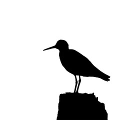 Green sandpiper silhouette. Silhouette of a bird illustration.