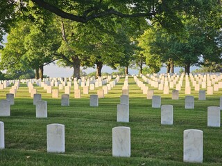 Naklejka premium american war cemetery