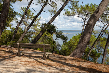 bench wooden empty on lake Maubuisson atlantic in gironde france