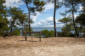 wooden bench calm at lake atlantic french coast in Carcans Maubuisson atlantic southwest in gironde france