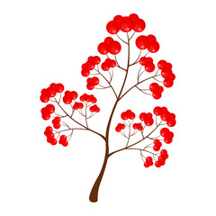 Illustration of red berries isolated on white background. Berries in autumn or fall. Editable vector