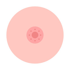 Breast flat illustration